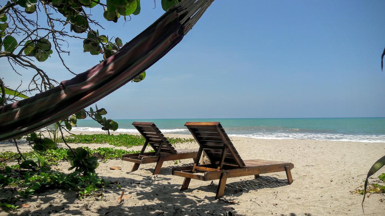 La Sirena Eco Hotel & Retreat Palomino Eksteriør billede