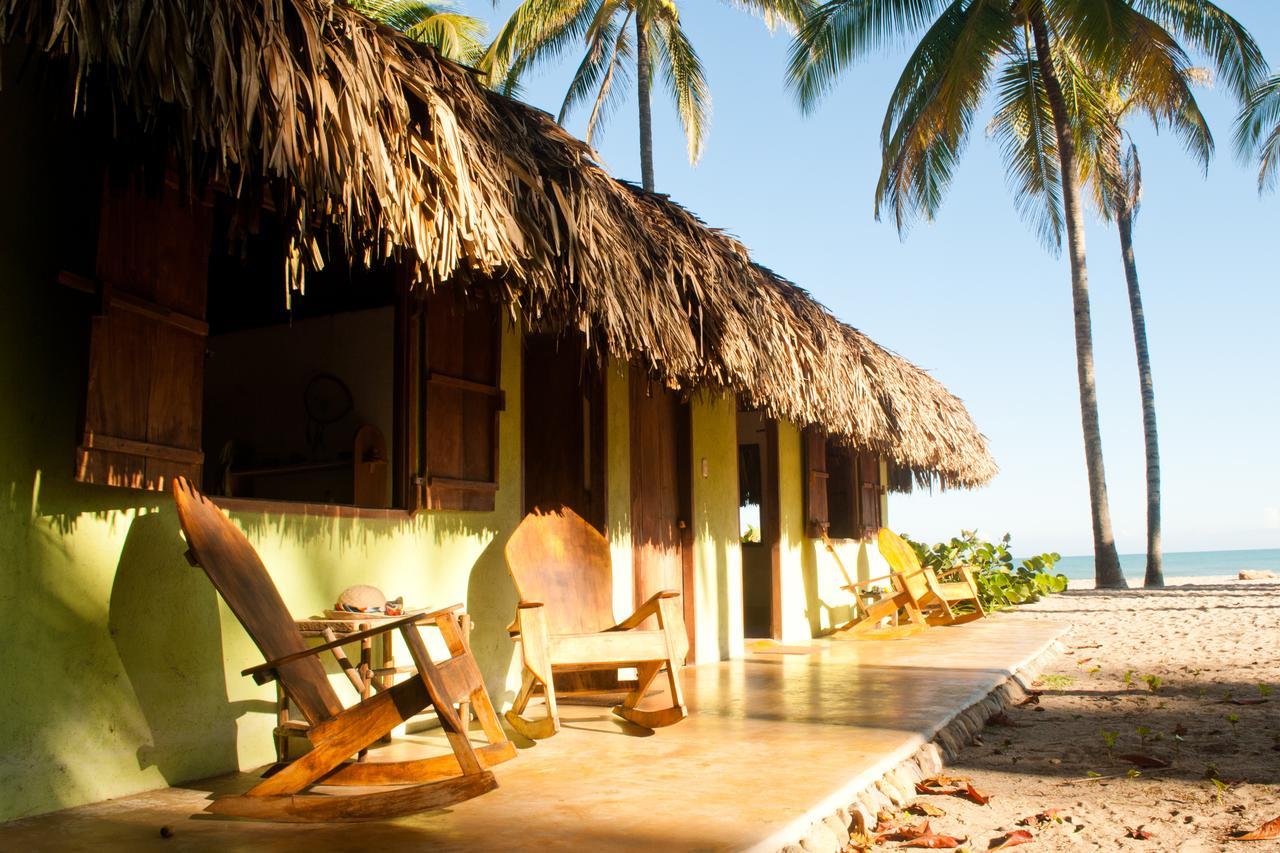 La Sirena Eco Hotel & Retreat Palomino Eksteriør billede